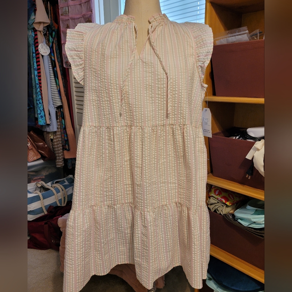Time and Tru Seersucker Dress